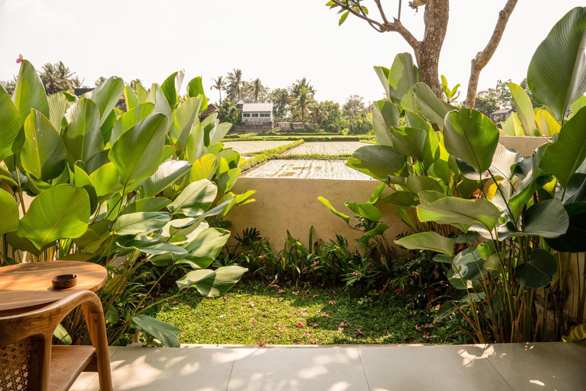 Tut Winten Villa Ubud Kültér fotó